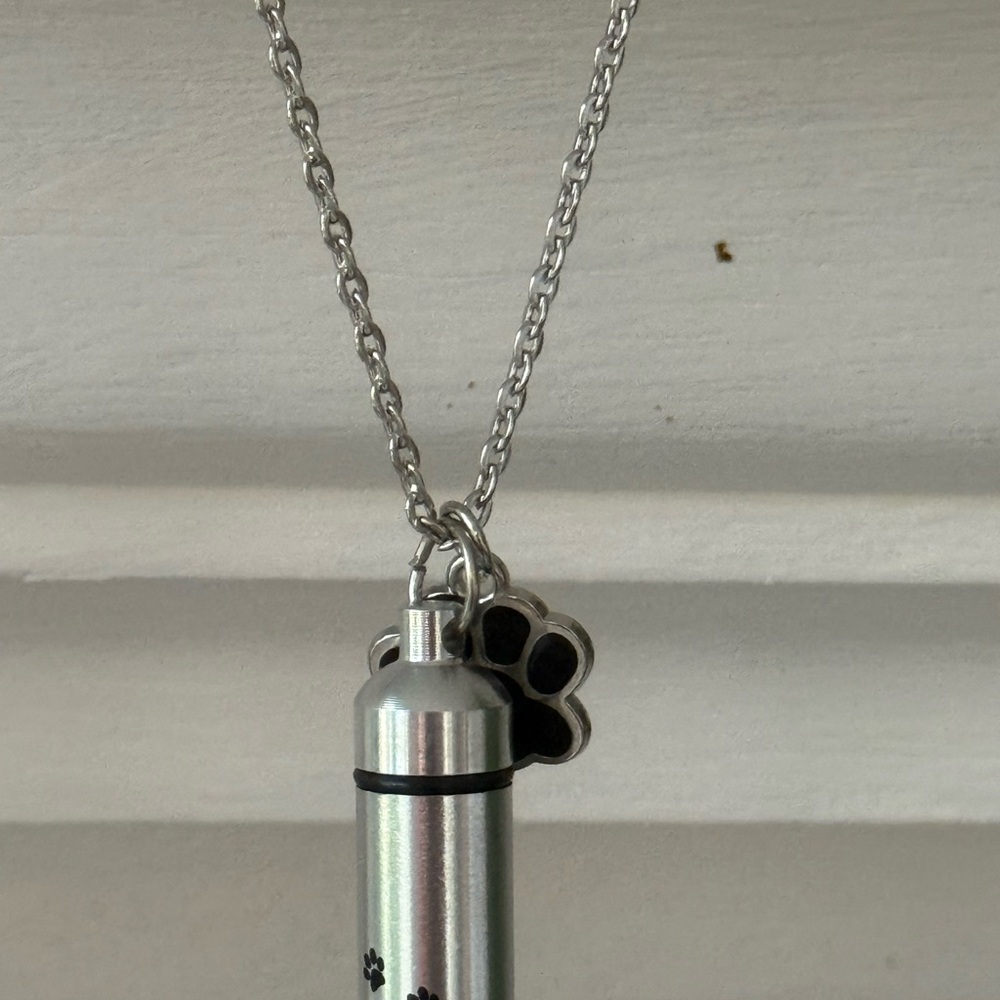 NEW Stainless Steel Cremation Urn Necklace for Cats + Dogs 1.5inches